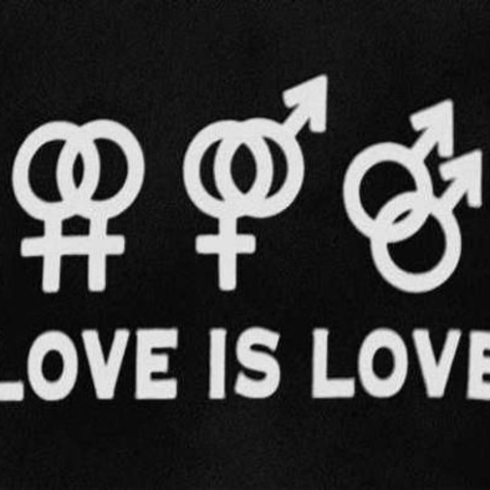 Meet your Posher, Dalo